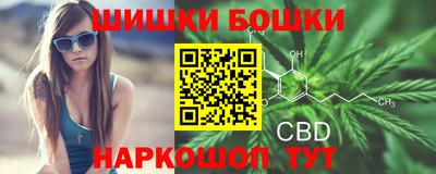 индика Нягань