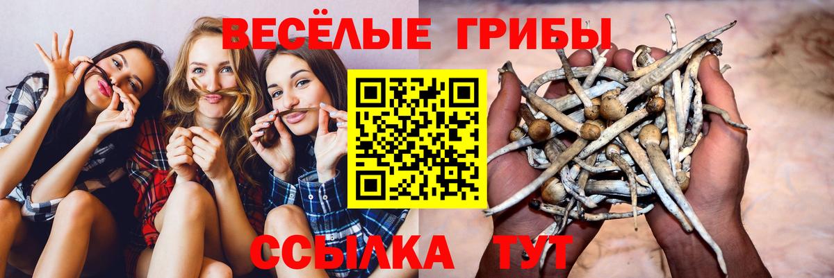 Галлюциногенные грибы прущие грибы Среднеуральск