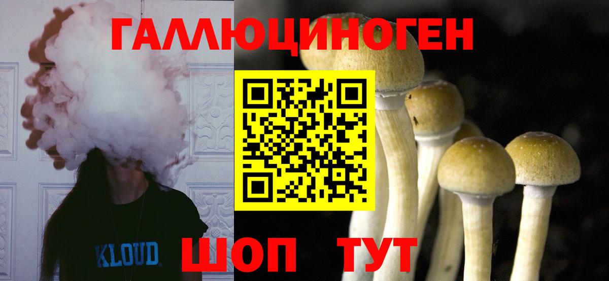 Галлюциногенные грибы ЛСД  Галлюциногенные грибы мицелий  Среднеуральск  Вход с VPN 